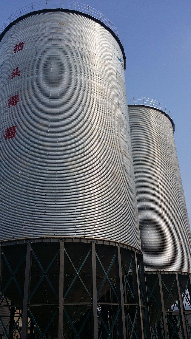 大型裝配式鋼板庫